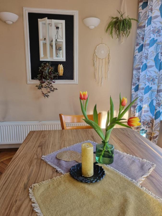 Adria Bed & Breakfast Myślibórz Exterior foto